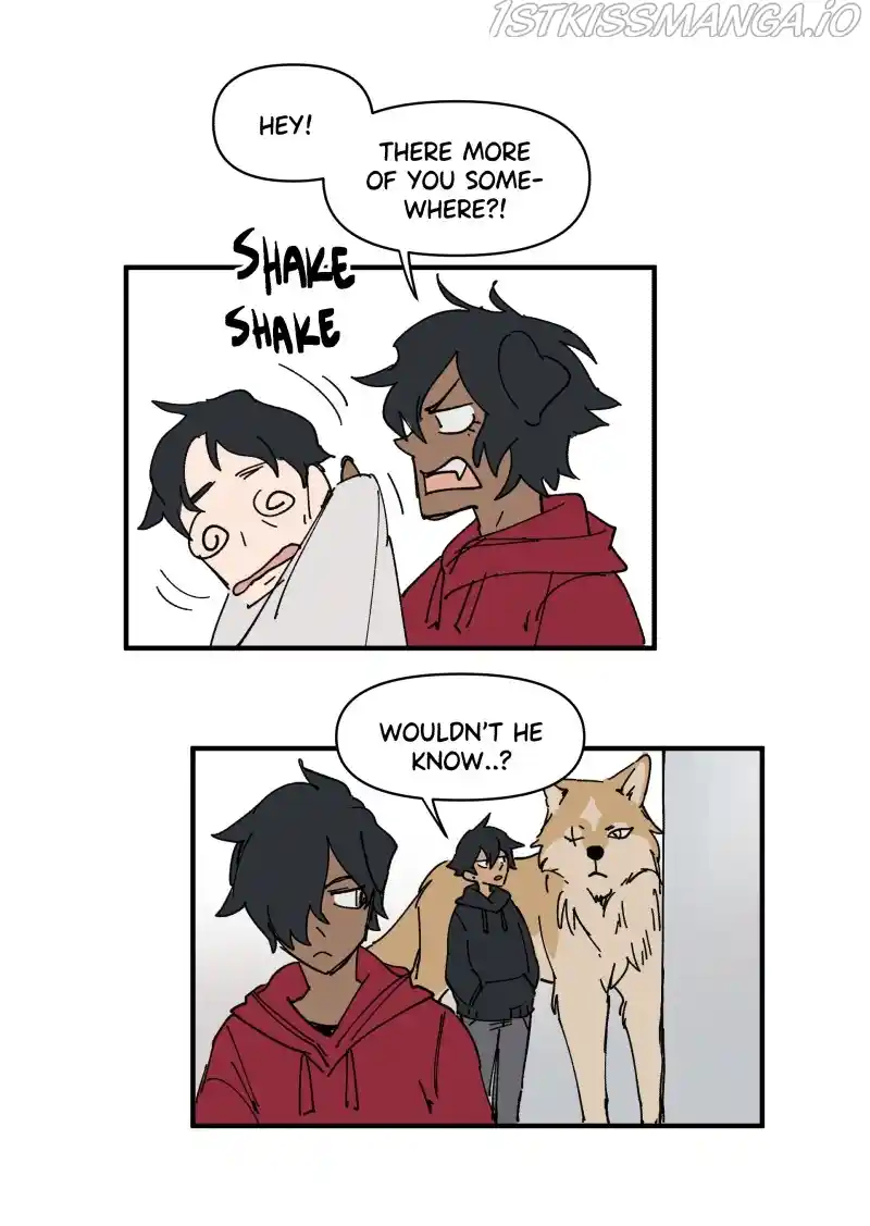 Read LUMINE Manga Online