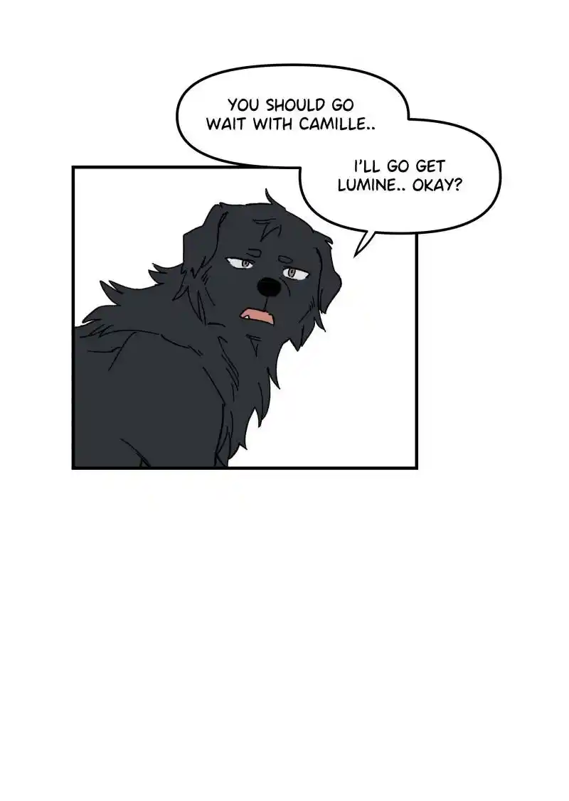 Read LUMINE Manga Online