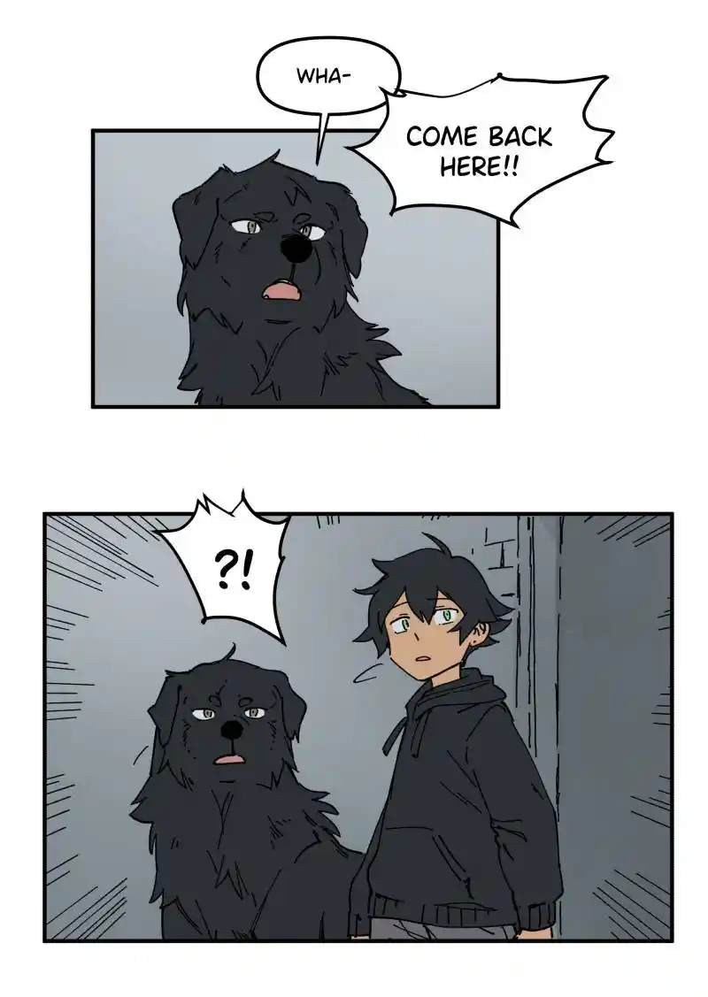 Read LUMINE Manga Online