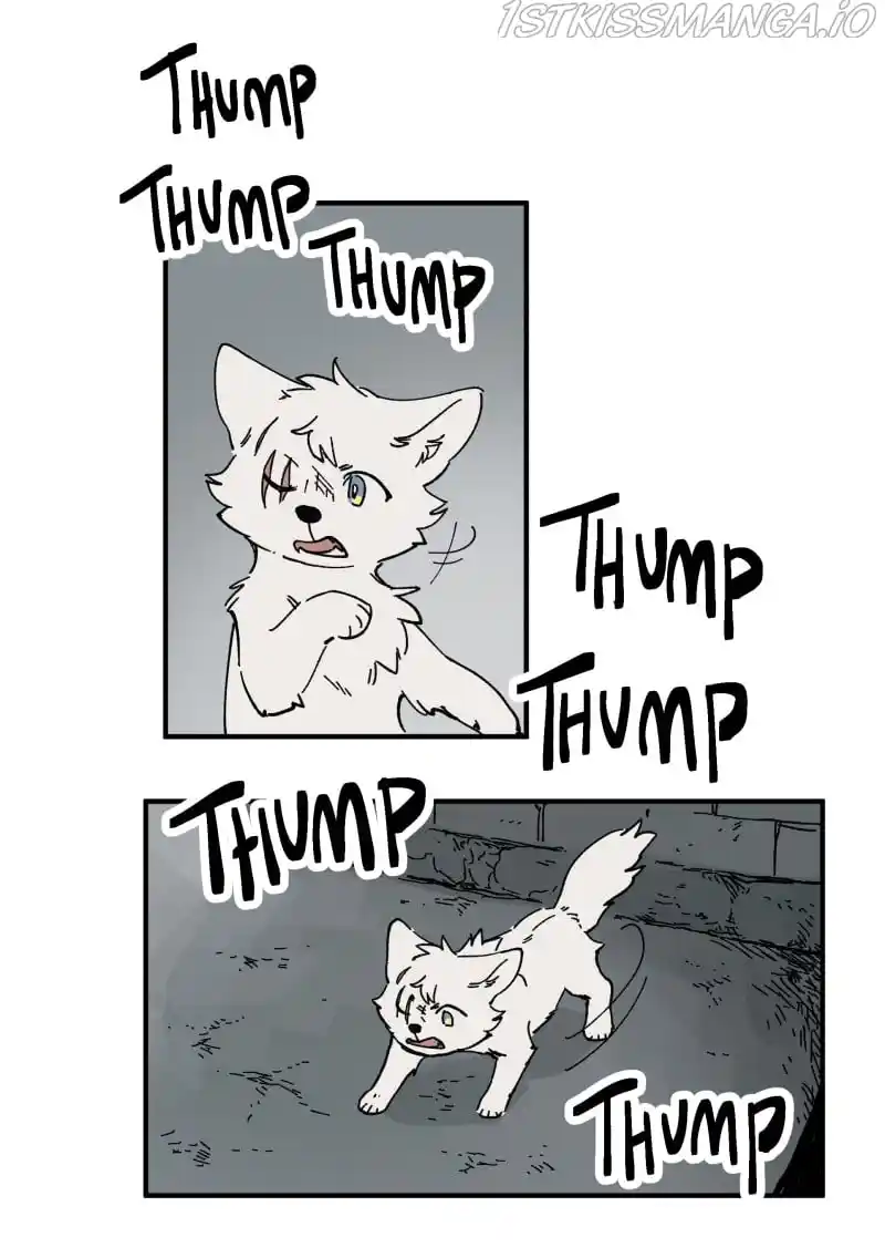 Read LUMINE Manga Online