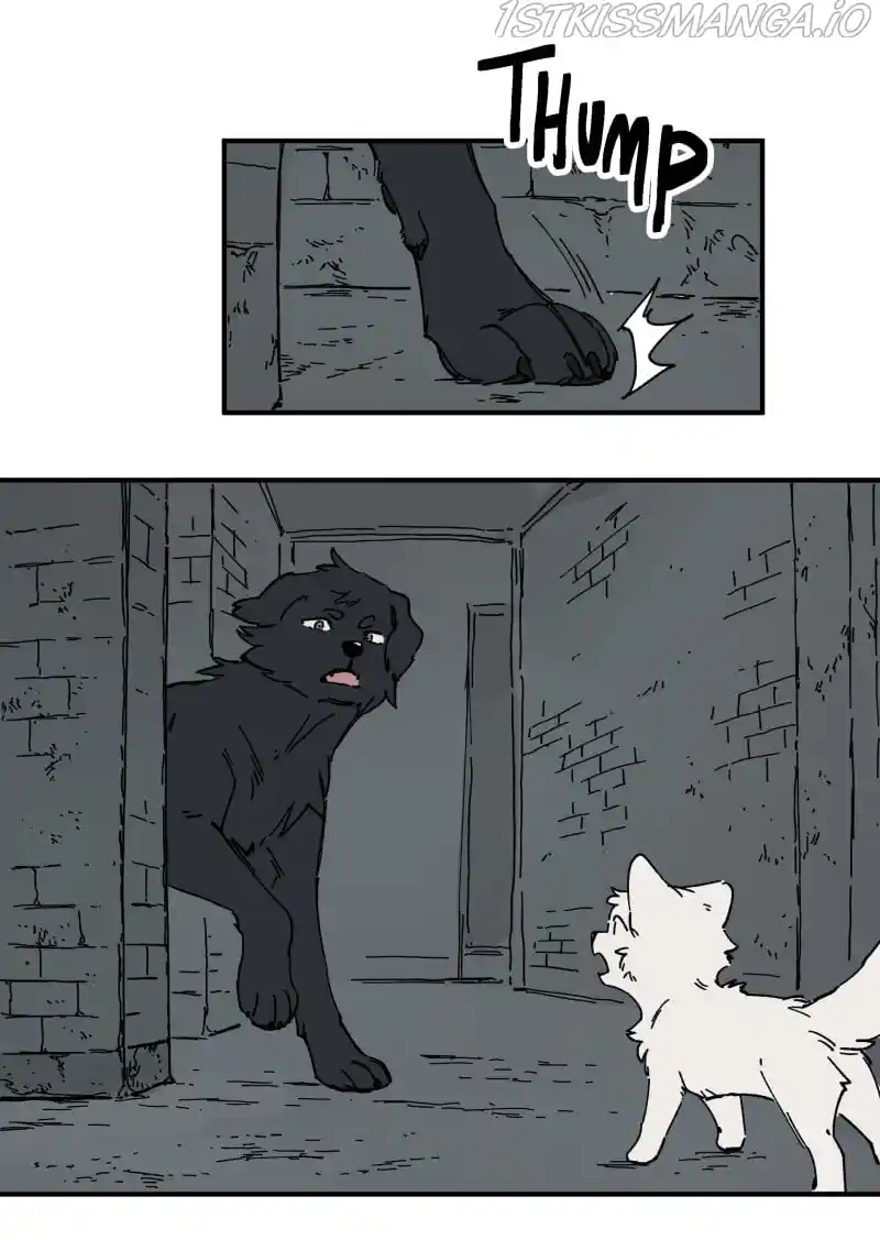 Read LUMINE Manga Online