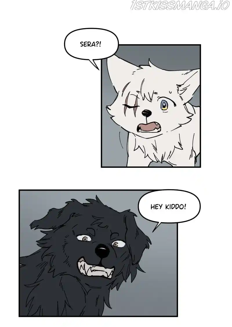 Read LUMINE Manga Online