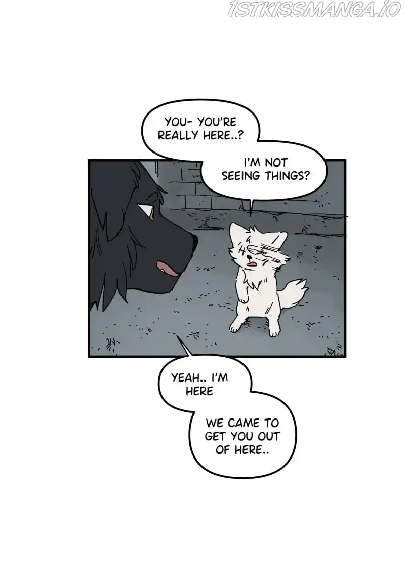 Read LUMINE Manga Online