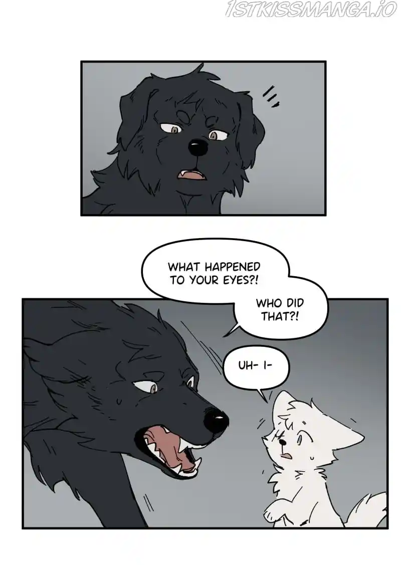 Read LUMINE Manga Online