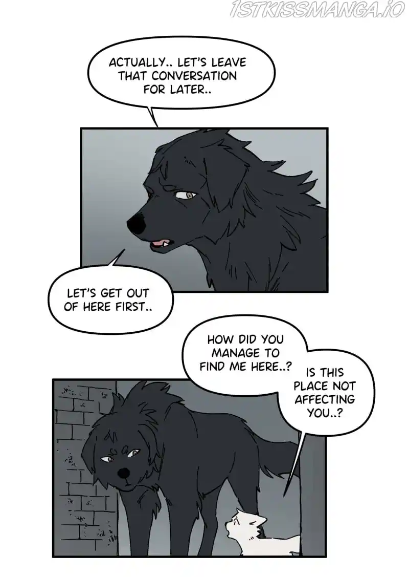 Read LUMINE Manga Online