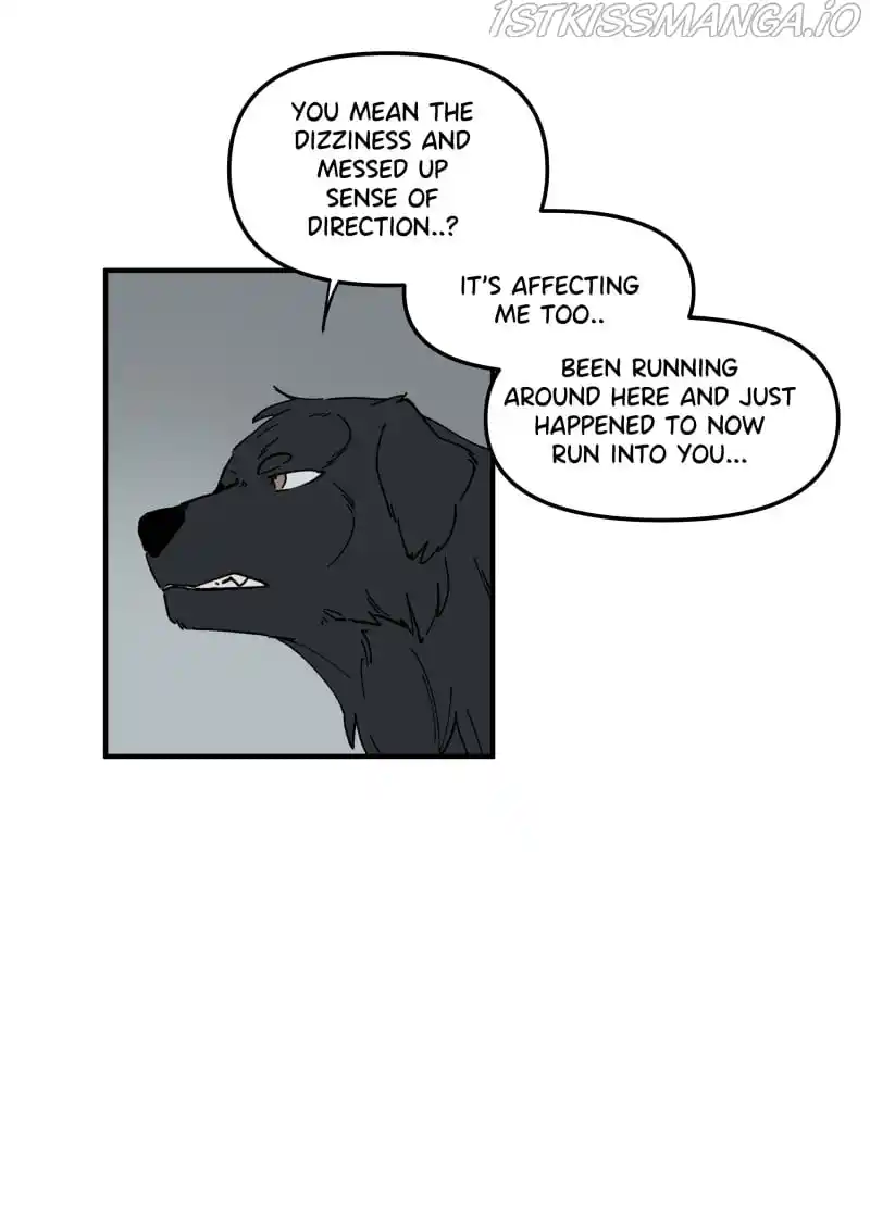 Read LUMINE Manga Online