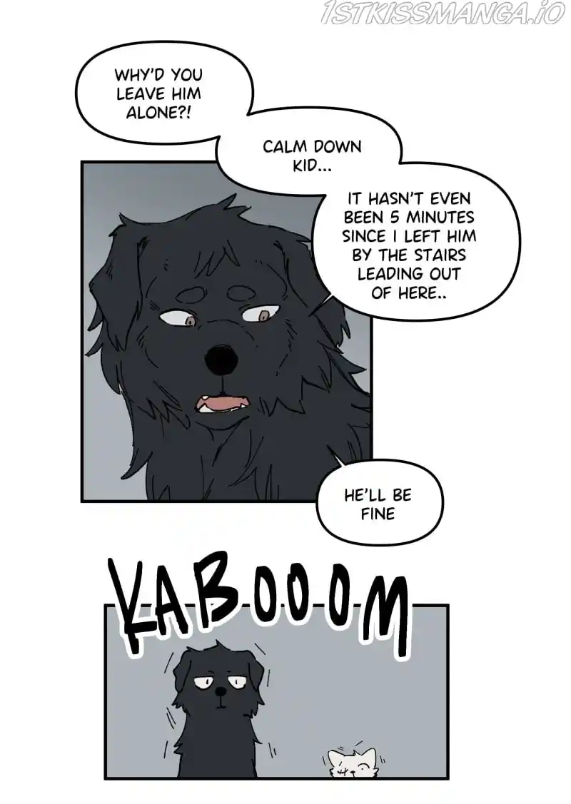 Read LUMINE Manga Online