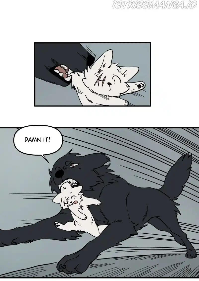 Read LUMINE Manga Online