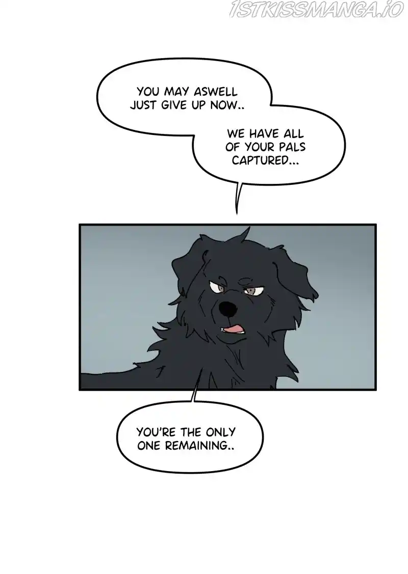 Read LUMINE Manga Online