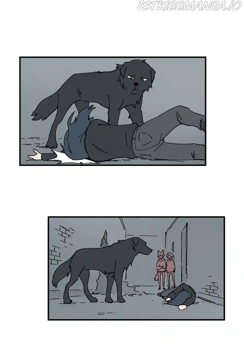 Read LUMINE Manga Online