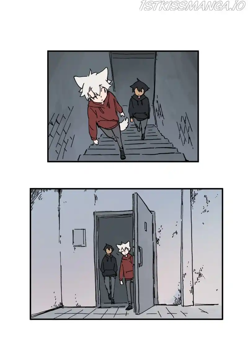 Read LUMINE Manga Online