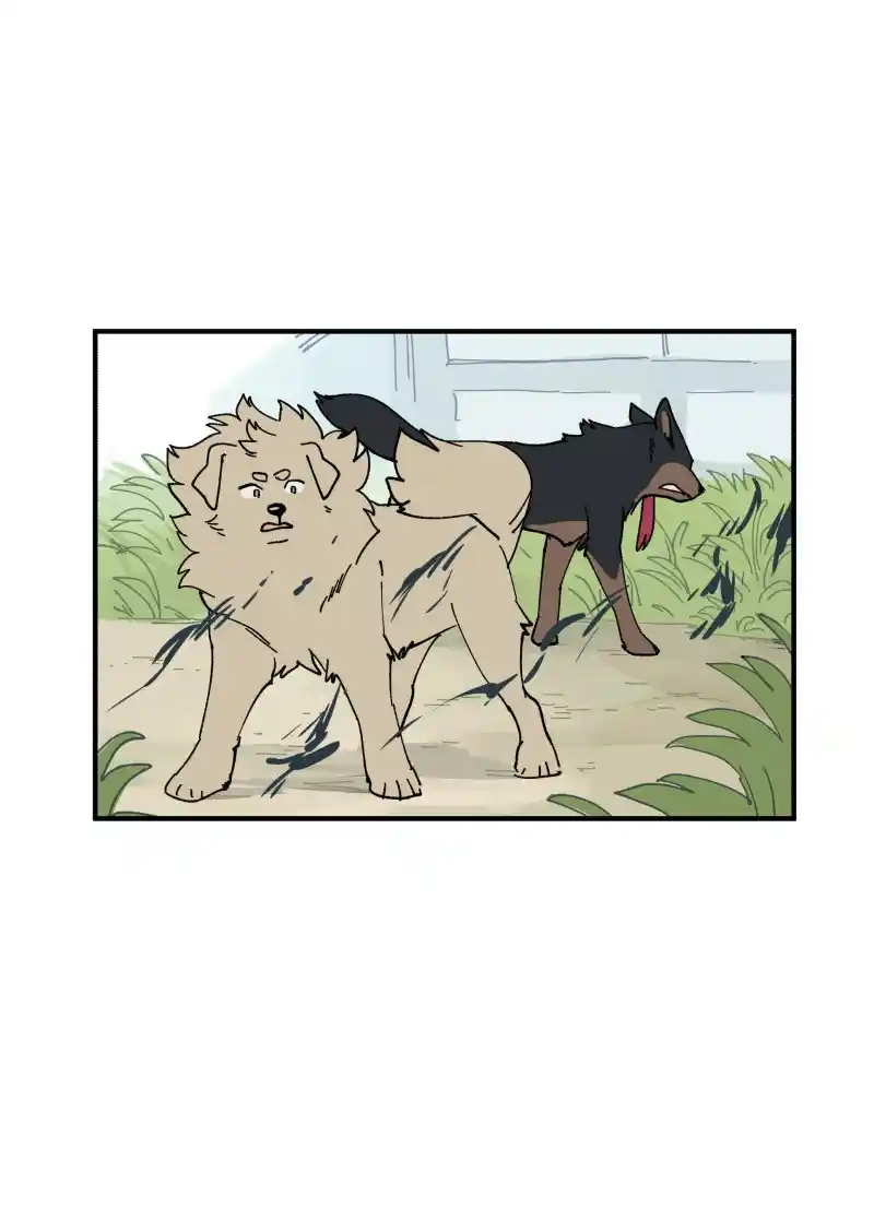 Read LUMINE Manga Online