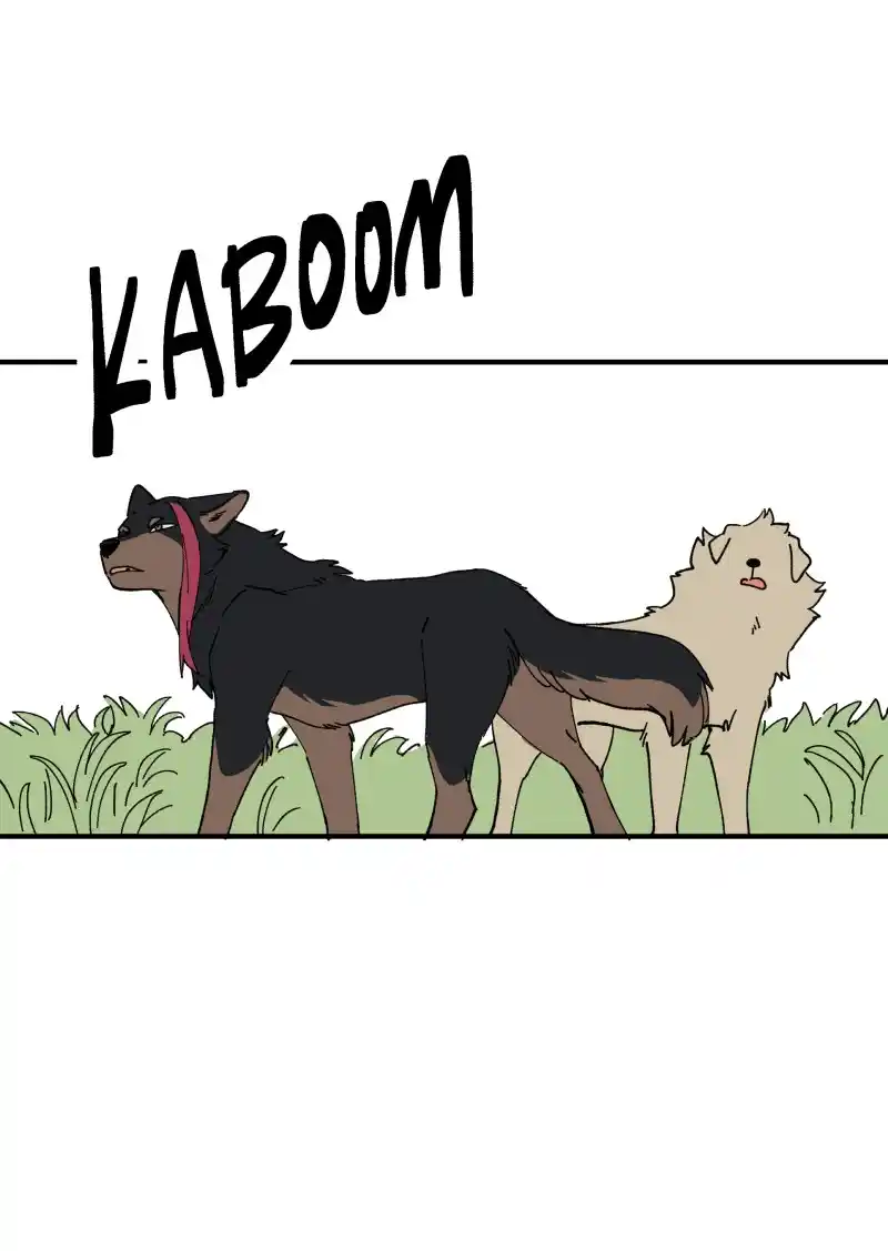 Read LUMINE Manga Online