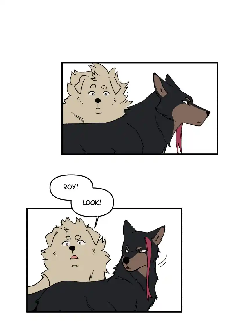 Read LUMINE Manga Online