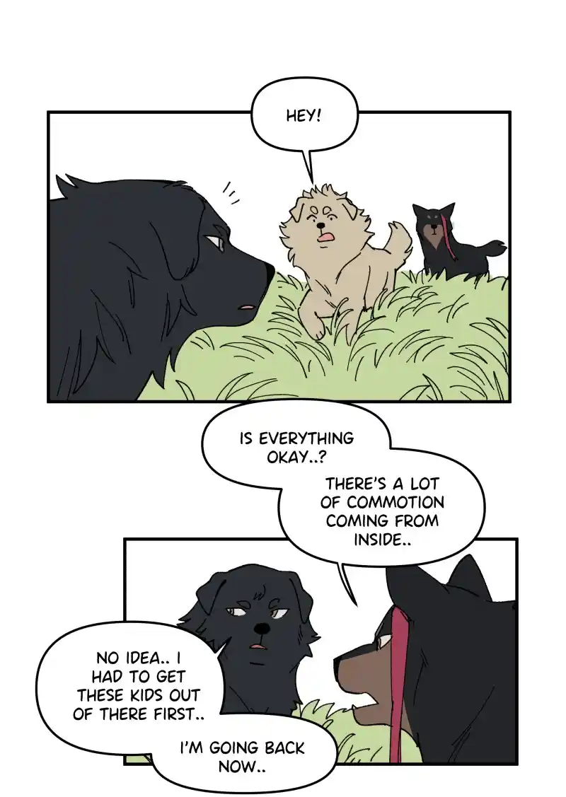 Read LUMINE Manga Online