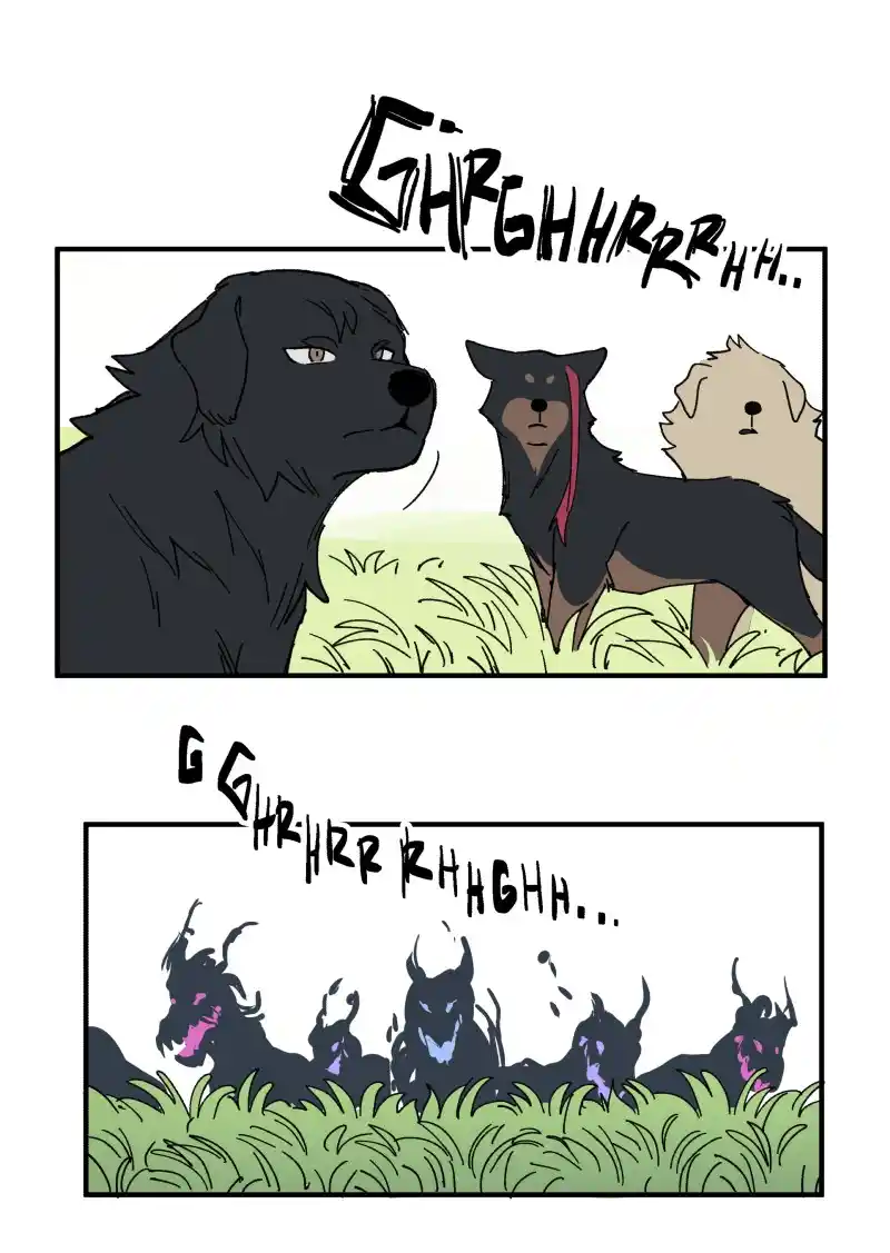 Read LUMINE Manga Online