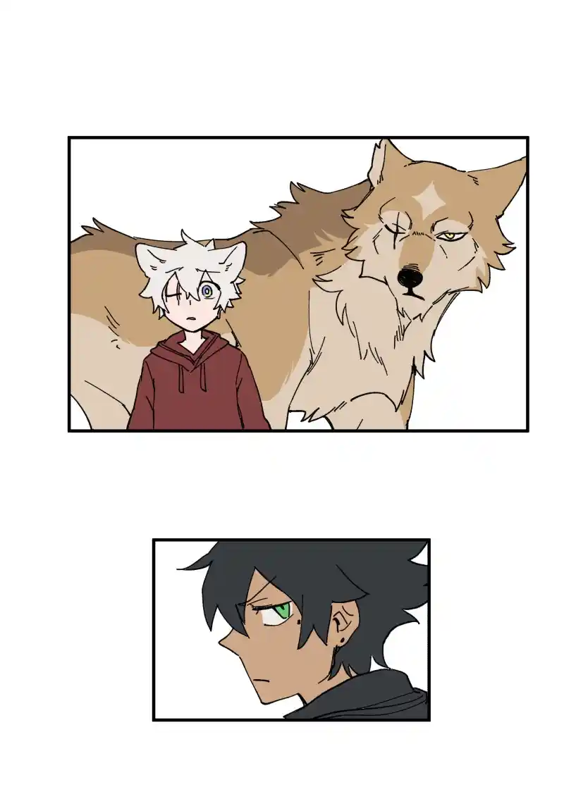 Read LUMINE Manga Online