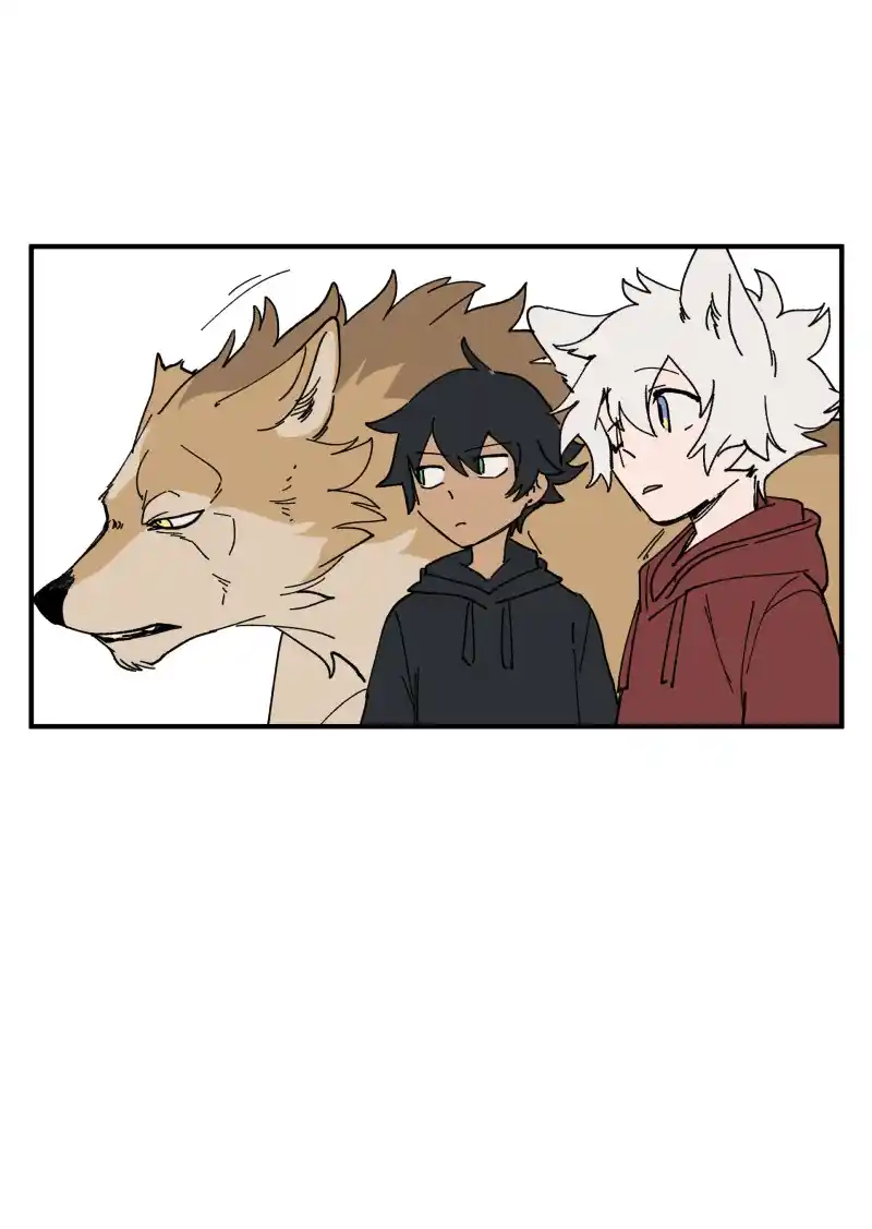 Read LUMINE Manga Online