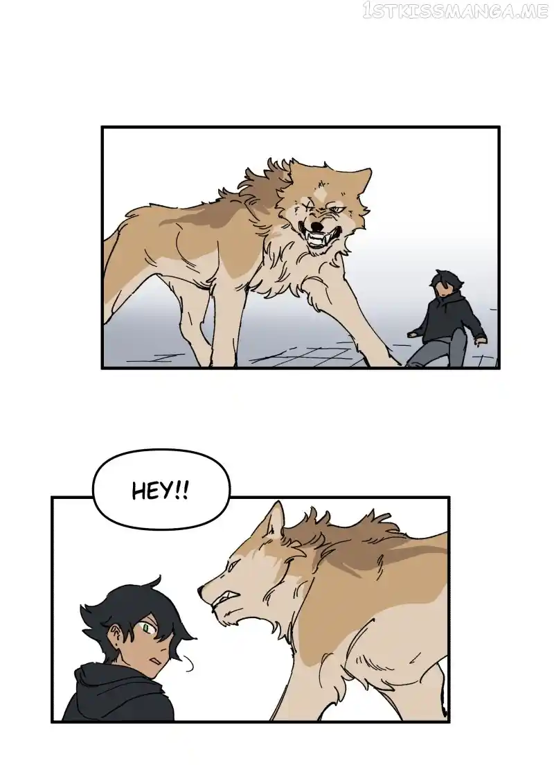 Read LUMINE Manga Online