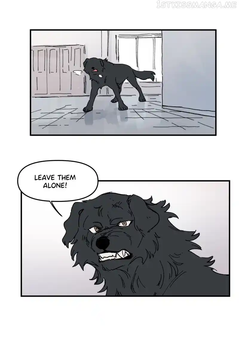 Read LUMINE Manga Online