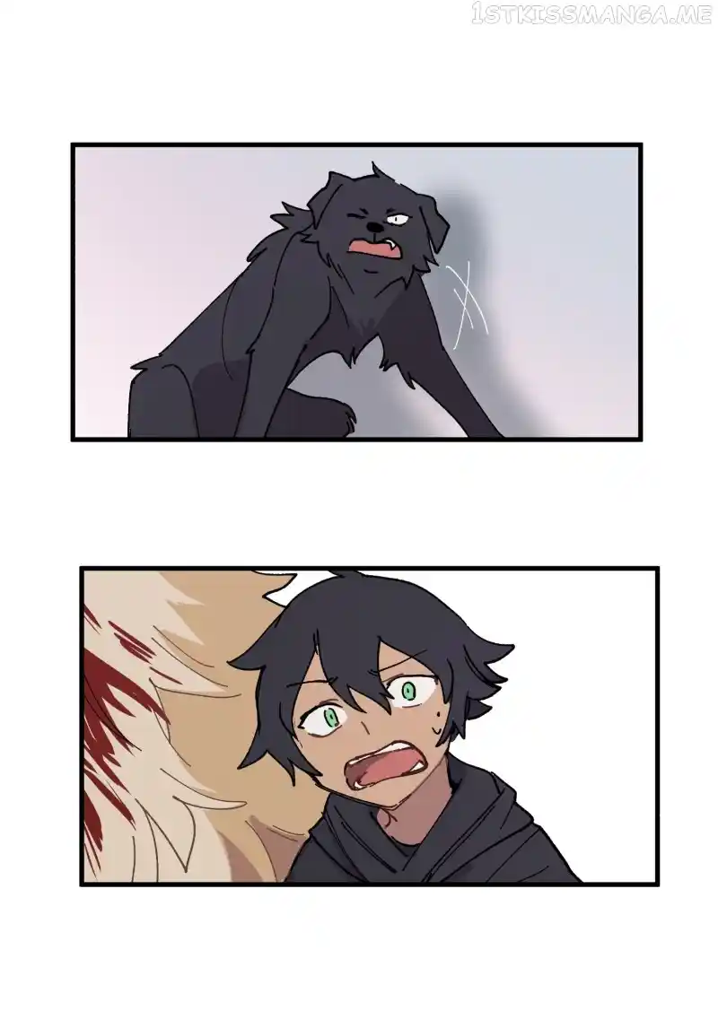 Read LUMINE Manga Online