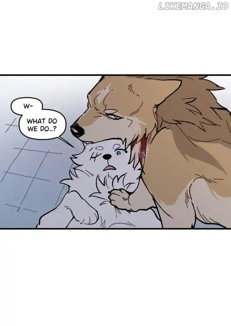 Read LUMINE Manga Online