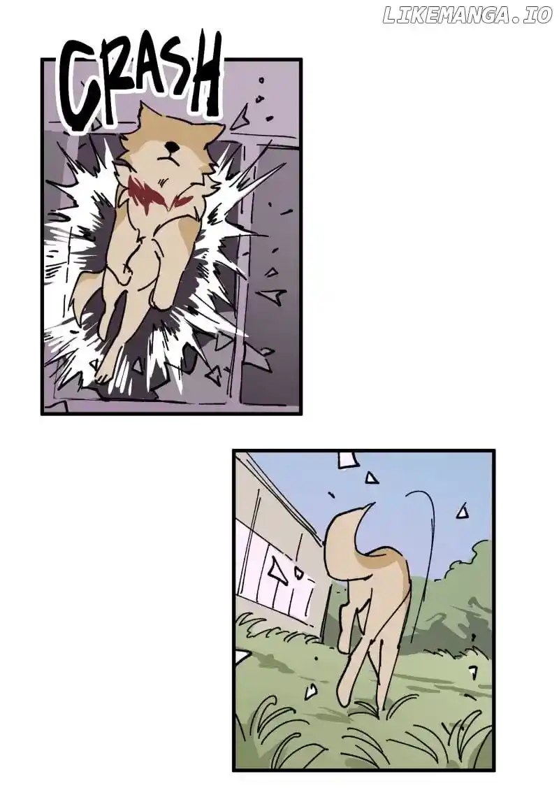 Read LUMINE Manga Online