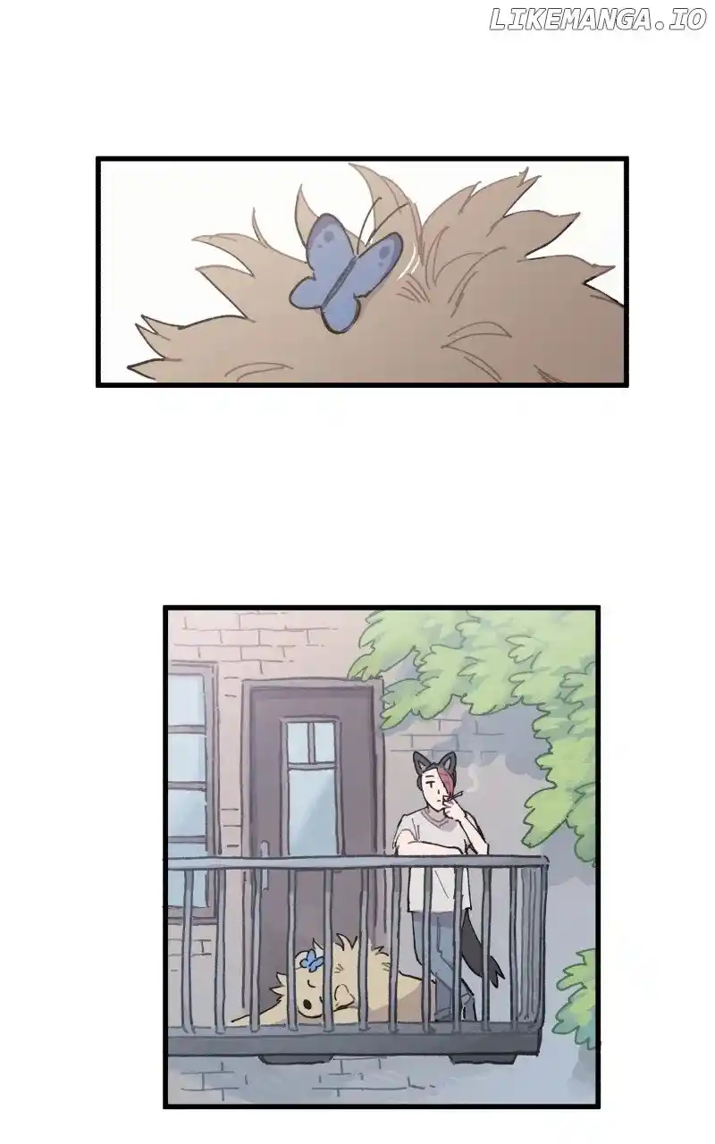 Read LUMINE Manga Online