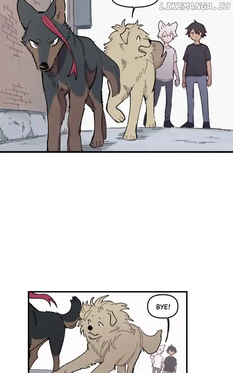 Read LUMINE Manga Online