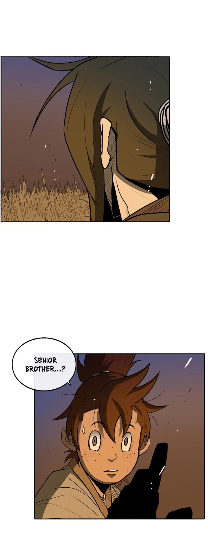 Read Legend Of The Northern Blade Manga Online