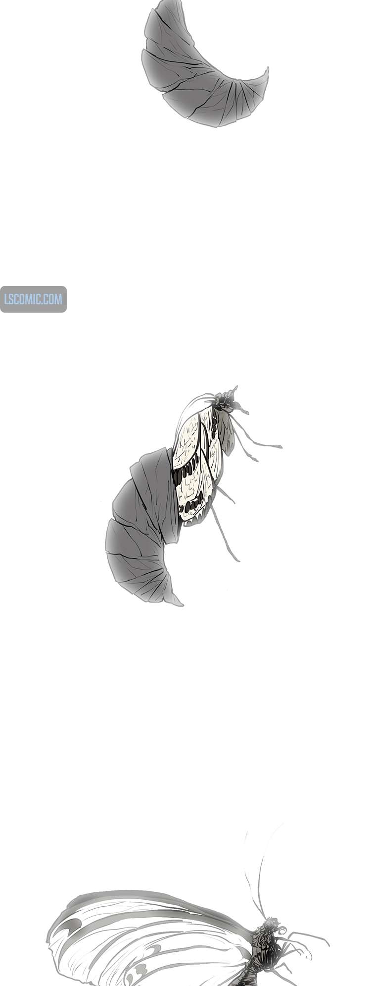 Read Legend Of The Northern Blade Manga Online