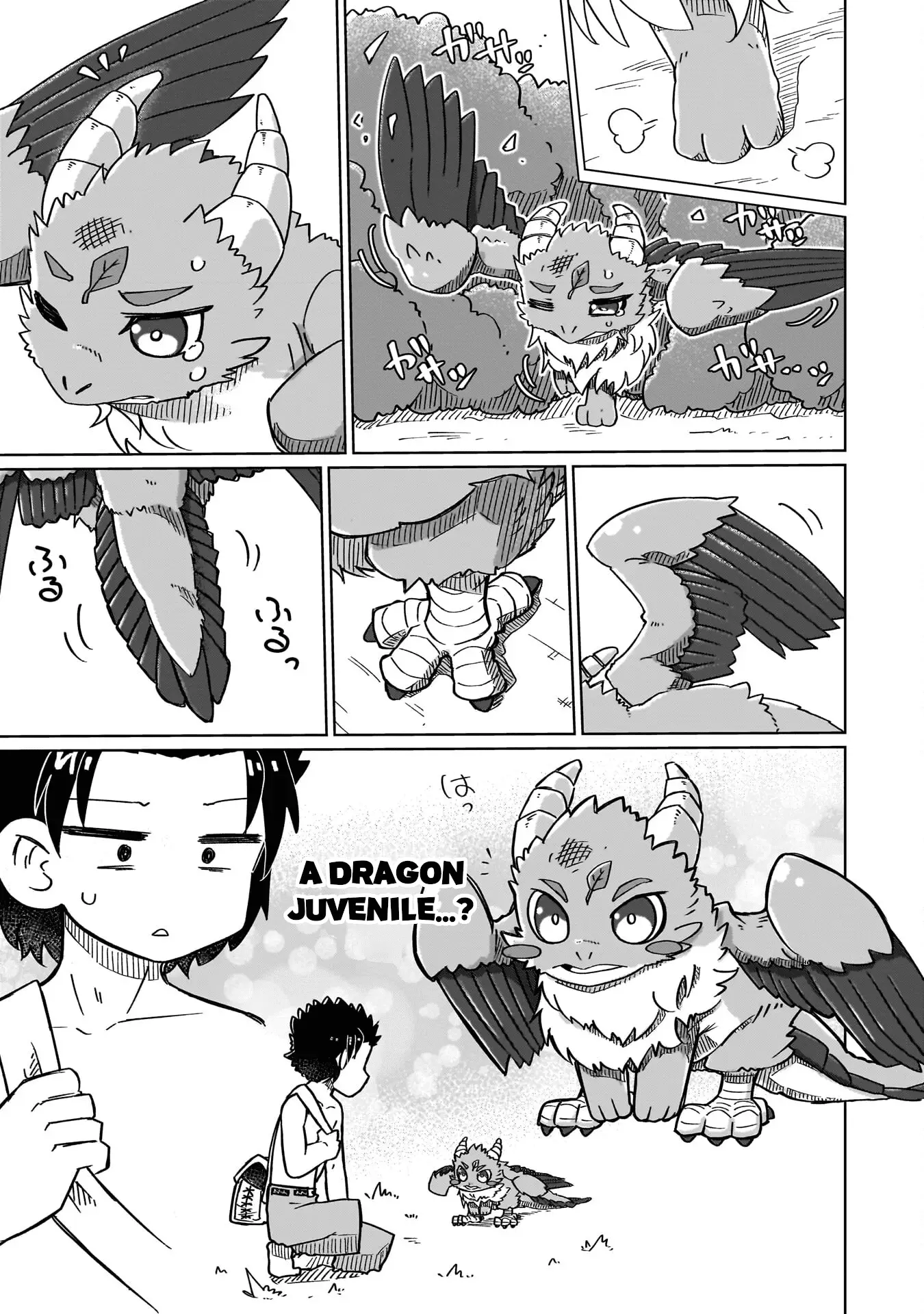 Read Nothing Can be Understood Manga Online