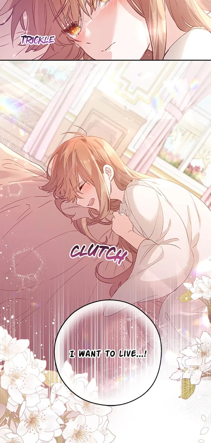 Read Philomel the Fake Manga Online