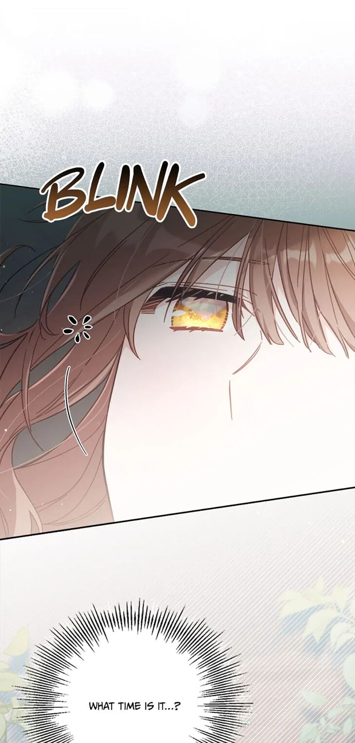 Read Philomel the Fake Manga Online