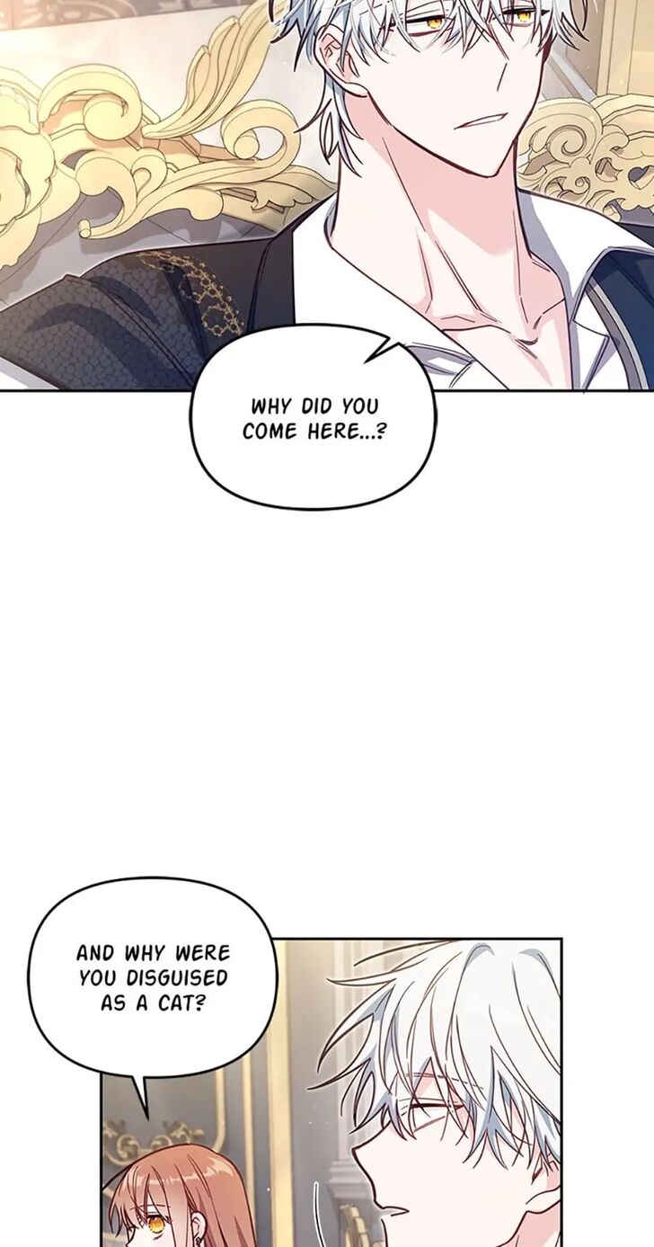 Read Philomel the Fake Manga Online