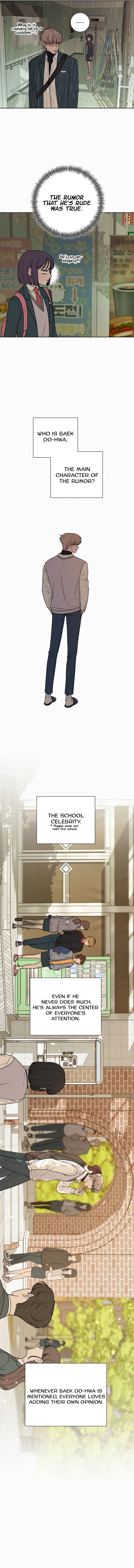 Read Pure Love Operation Manga Online