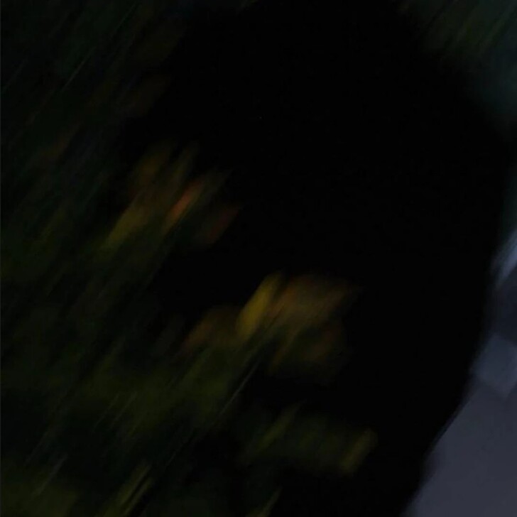 Read Pure Love Operation Manga Online