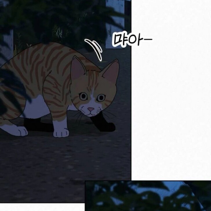 Read Pure Love Operation Manga Online