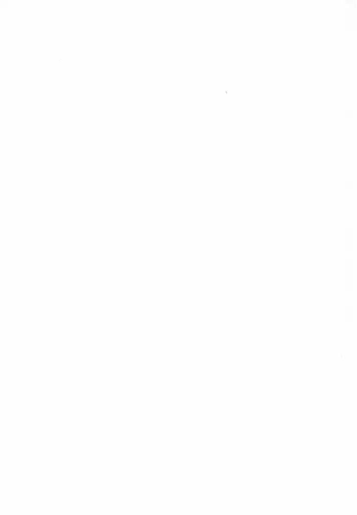 Read RAIKA DAYS Manga Online