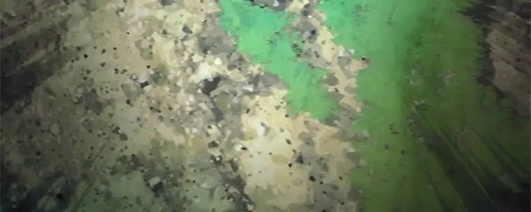 Read Ranker Who Lives A Second Time Manga Online