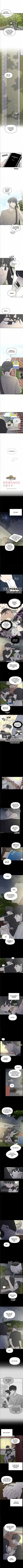 Read Romance 101 Manga Online