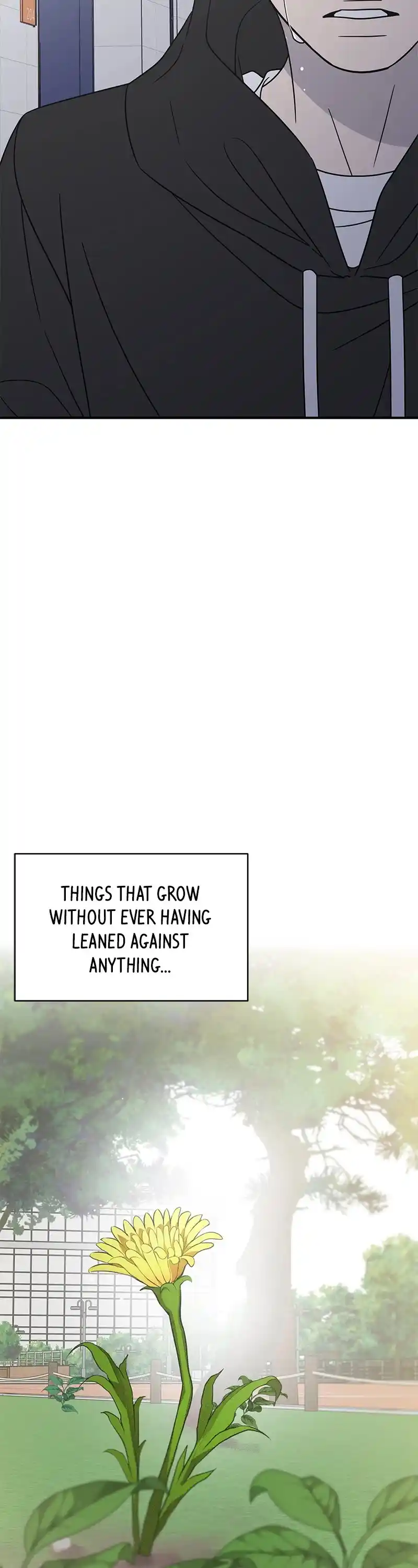 Read Romance 101 Manga Online