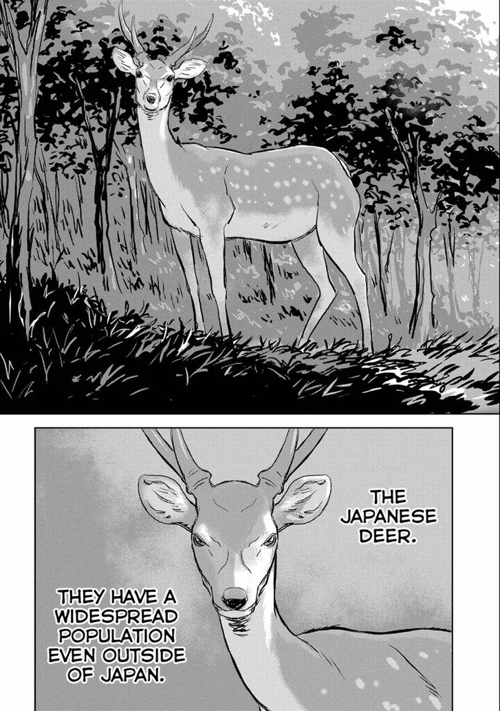 Read Sengoku Komachi Kuroutan Manga Online