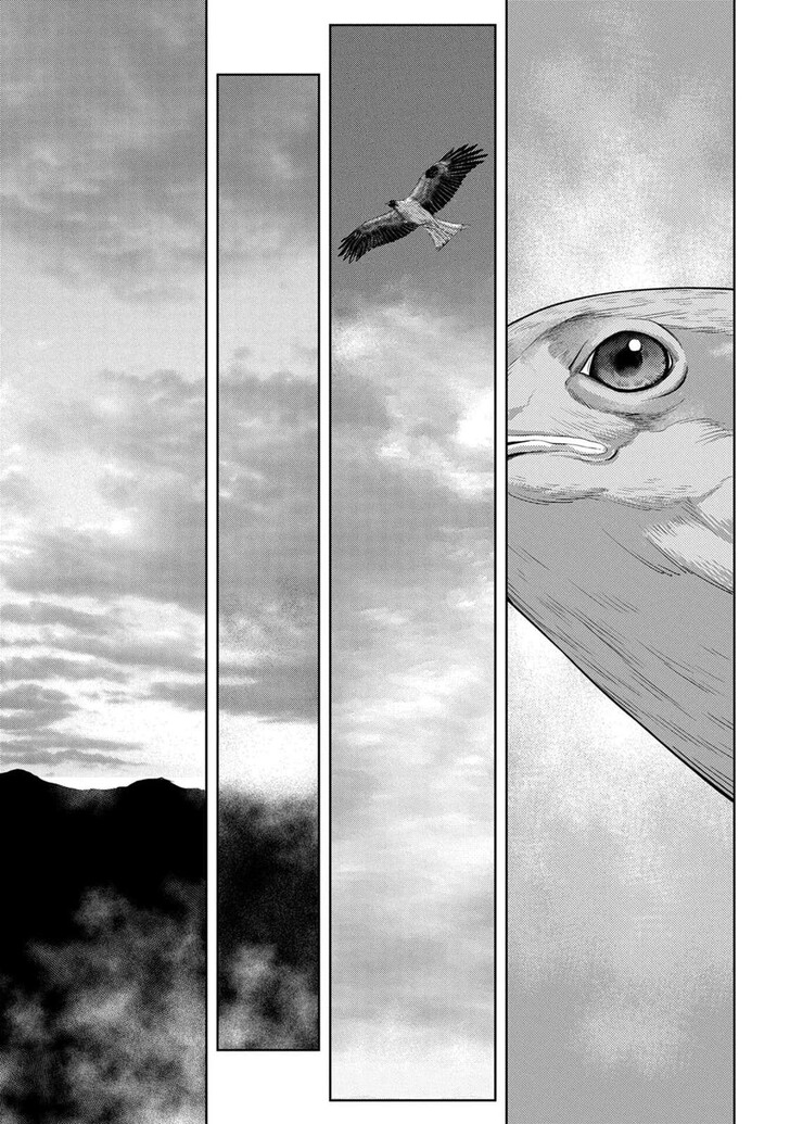 Read Sengoku Komachi Kuroutan Manga Online