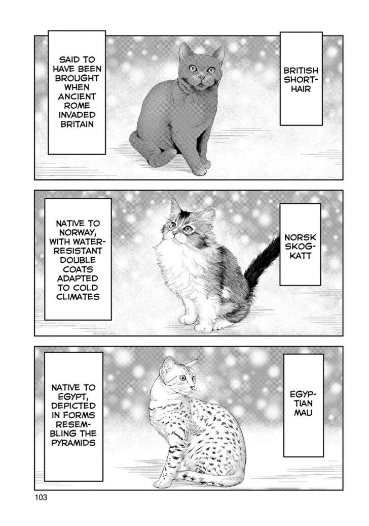 Read Sengoku Komachi Kuroutan Manga Online