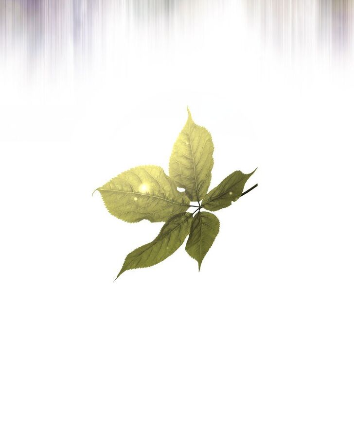 Read Siren's Lament Manga Online