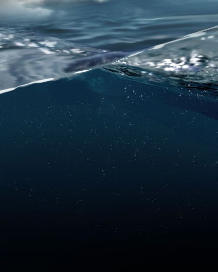 Read Siren's Lament Manga Online