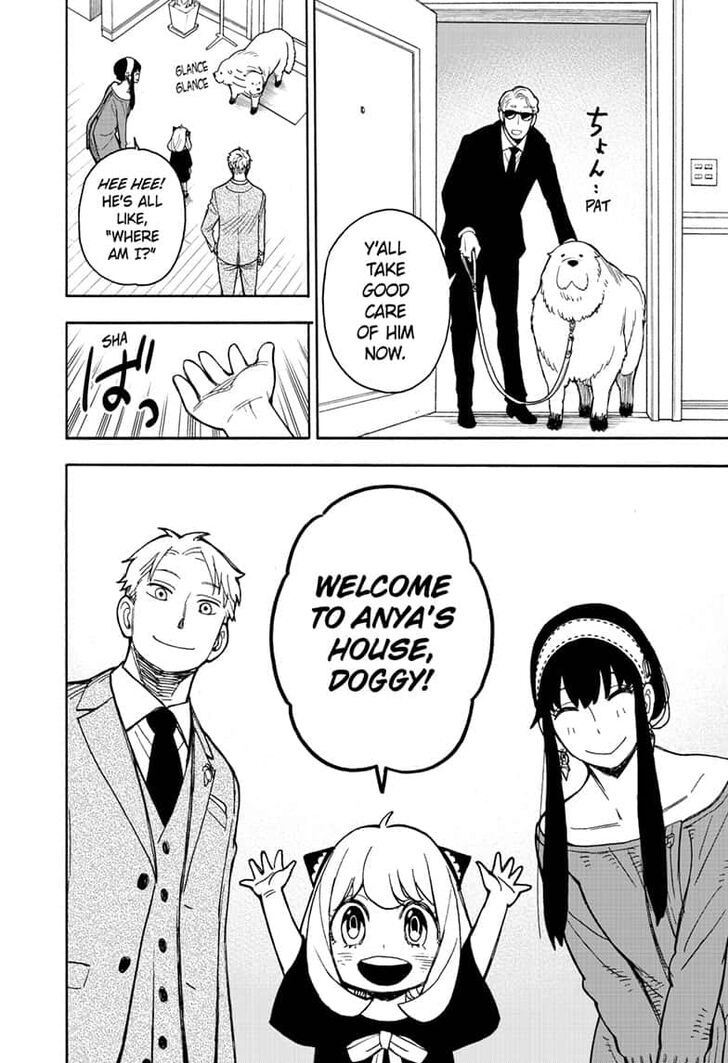 Read Spy X Family Manga Online