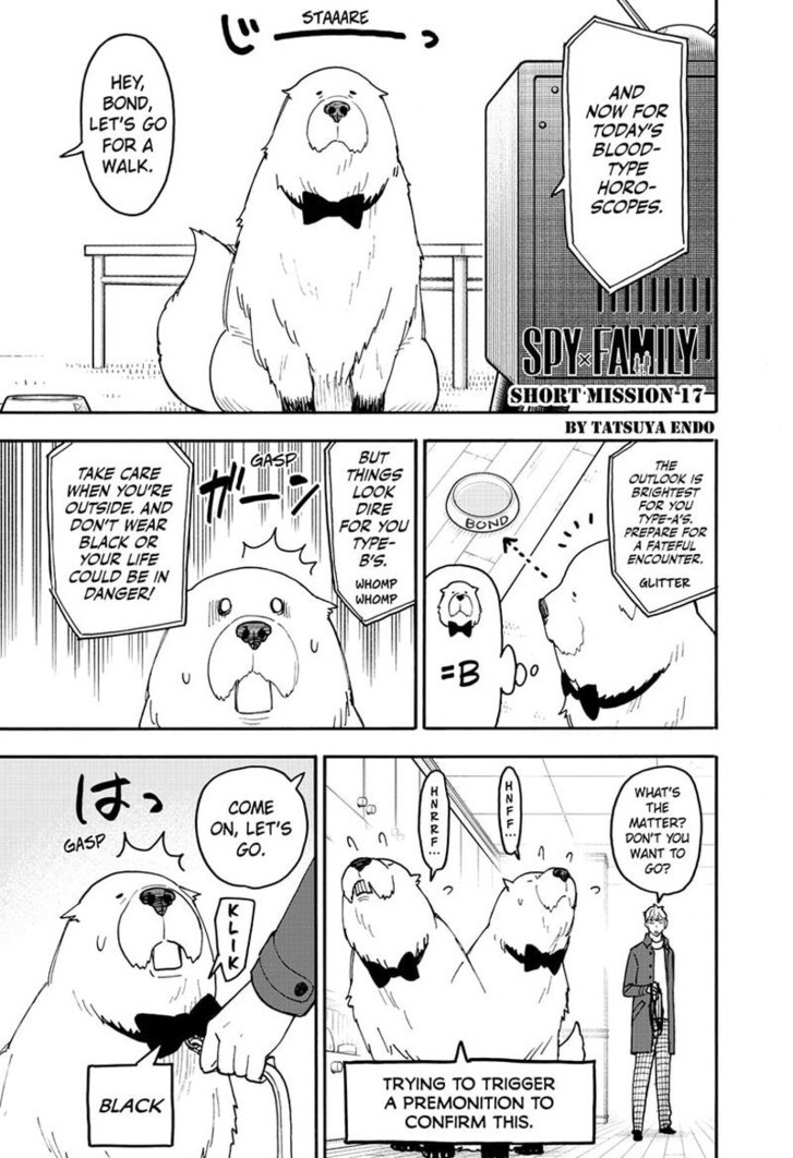 Read Spy X Family Manga Online