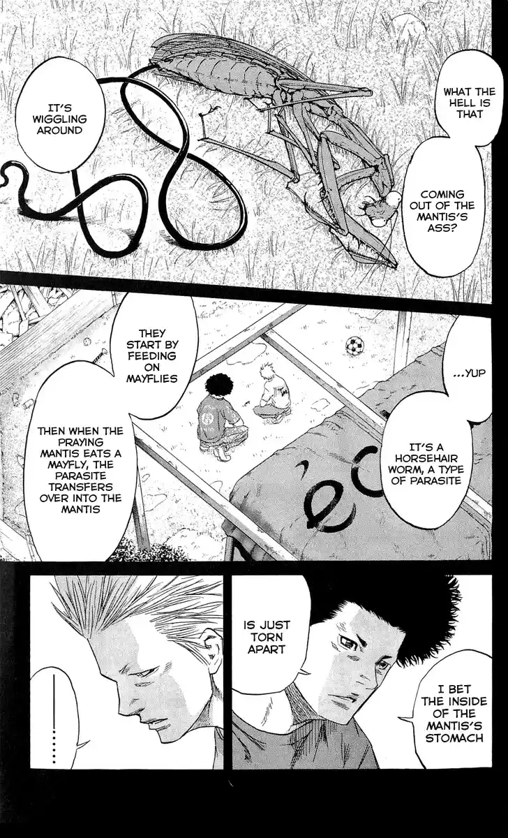 Read Sugarless Manga Online